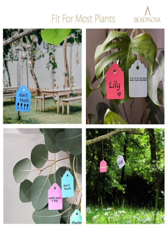 BEADNOVA Plant Hanging Tags 100pcs Tags with String Reusable Plant Labels Markers Plastic Garden Signs Garden Markers for Outdoor (2 Inch, Pink) - Image 5